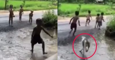 Video: Bốn cậu bé chạy té khói vì trêu chó