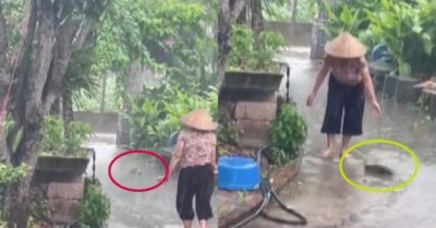 Video: Cá lóc khủng ‘ghé thăm’ khiến cả nhà vui mừng