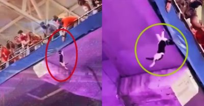 Video: Khoảnh khắc chú mèo hoang rơi tự do trên khán đài sân vận động