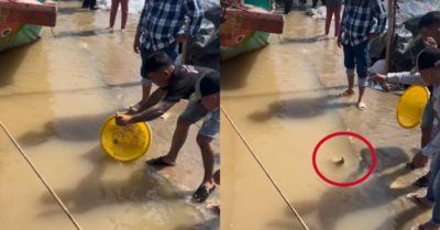 Video: Cả xóm kêu trời vì tưởng câu được cá khủng