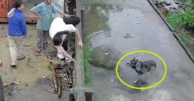Video: Người phụ nữ nhảy qua tường nhanh như chớp khi bị chó đuổi