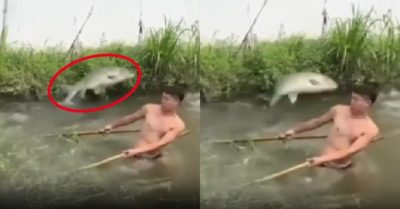 Video: Nam thanh niên choáng váng khi bị cá khủng liên tiếp lao vào mặt