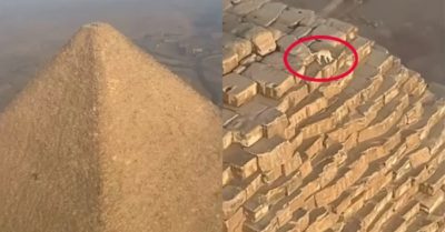 Video: Chú chó leo lên đỉnh kim tự tháp gây sốt mạng xã hội