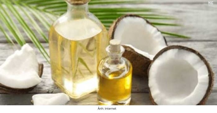 Công dụng của dầu dừa và cách tự làm dầu dừa tại nhà