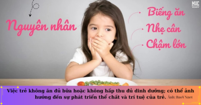 Bí quyết giúp cha mẹ cải thiện tình trạng trẻ biếng ăn