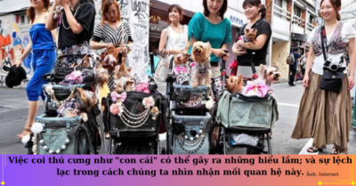 Thú cưng cần tình yêu thương nhưng không phải là con cái