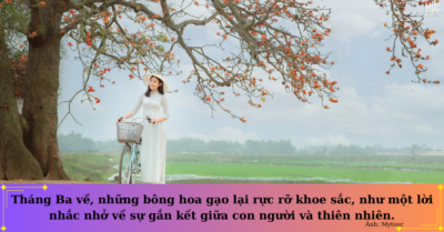 Tháng ba – Mùa của hương hoa và ký ức