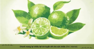 Quả chanh: Hương vị tươi mát và lợi ích sức khỏe bất ngờ