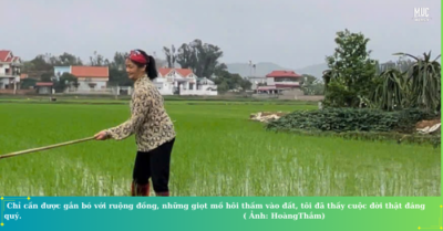 Nghề nông – Chuyện kể cô “ Yếm Thắm”