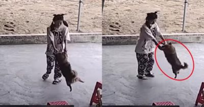 Video: Chú chó được cô chủ cho chơi trò đu quay bằng tay