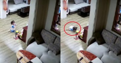 Video: Bé gái thành tâm khấn vái ông Địa