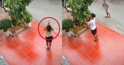 Video: Thanh niên lễ phép xin hái bưởi trước camera