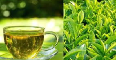 Thức uống trà xanh – Hương vị quê nhà