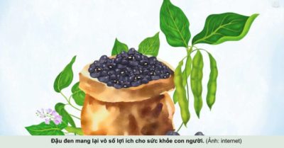 Đậu đen: siêu thực phẩm giúp tăng cường sức khỏe