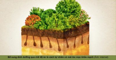 Tóc khỏe bắt nguồn từ chế độ ăn uống đầy đủ dưỡng chất