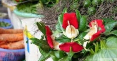 Tục ăn trầu – Sợi chỉ đỏ nối liền hồn quê và đạo lý dân tộc