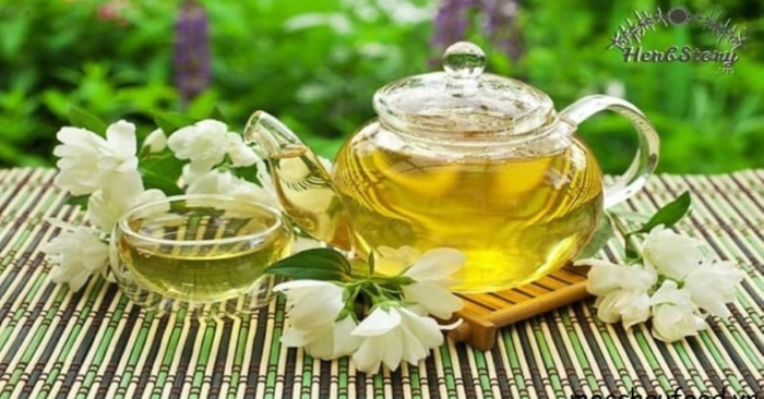 Trà hoa nhài
