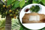 Cơm nắm mo cau – Đơn sơ mà đậm đà hồn quê