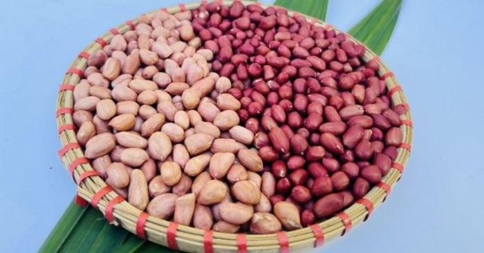 Lạc trắng và lạc đỏ loại nào ngon hơn? Góc nhìn từ dinh dưỡng đến hương vị truyền thống