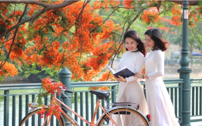 Lễ hội Hoa Phượng đỏ, Hải Phòng 2025 - Sự kiện 70 năm giải phóng