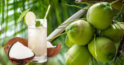 Những ai không nên uống nước dừa: tránh hại sức khỏe
