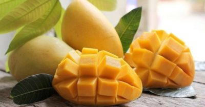Trái xoài tốt cho hệ tiêu hóa và não bộ