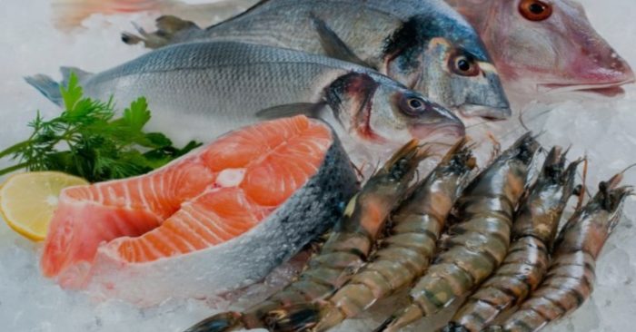 Các loại cá chứa nhiều thủy ngân gây hại cho sức khỏe con người