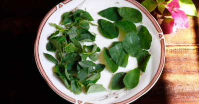 Canh rau ngót đúng cách giữ trọn vị thanh mát
