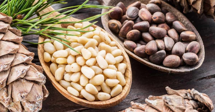 Hạt thông đắt đỏ bậc nhất thế giới