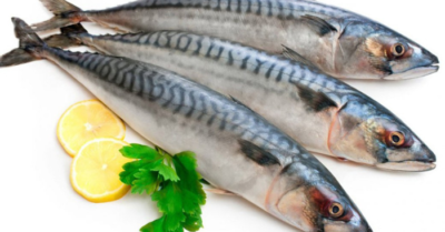Cá nục – lựa chọn bình dân giàu omega-3