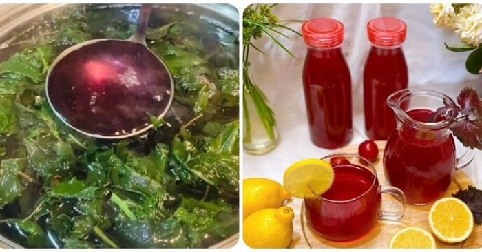nước lá tía tô vắt chanh