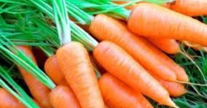 Rau củ tốt cho dạ dày, rẻ mà quý