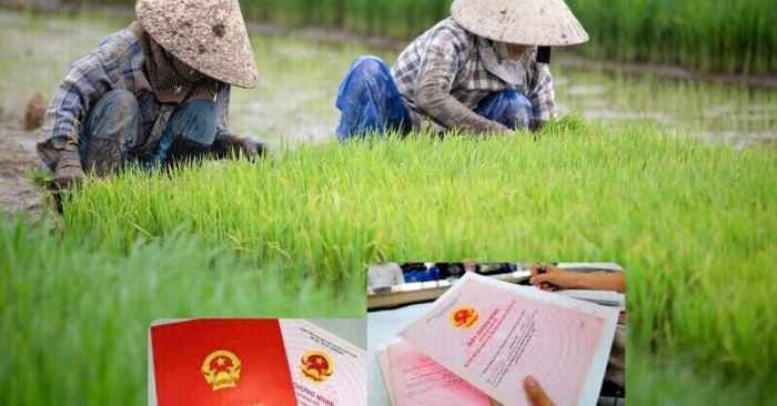 Số tiền cần nộp: Khi chuyển đất nông nghiệp sang thổ cư