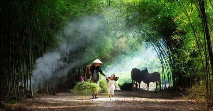 Ký ức một miền quê