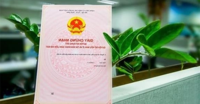 Luật Đất đai 2024: Quyền lợi mới cho sổ đỏ
