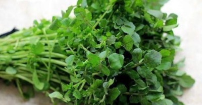 Lợi ích bất ngờ của cải xoong với sức khỏe