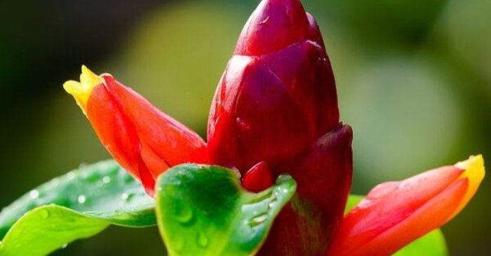 Phúc lộc đang lên với 4 dấu hiệu hiếm có
