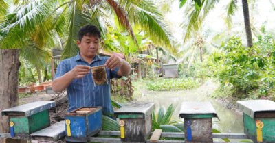 Bỏ nghề IT, chàng trai nuôi ong kiếm tiền tỷ mỗi năm