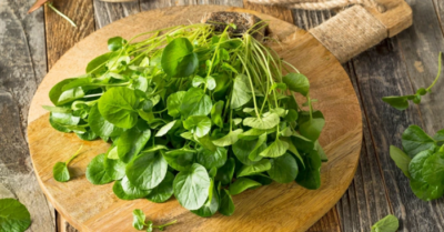 Cải xoong – Loại rau chống ung thư tốt nhất