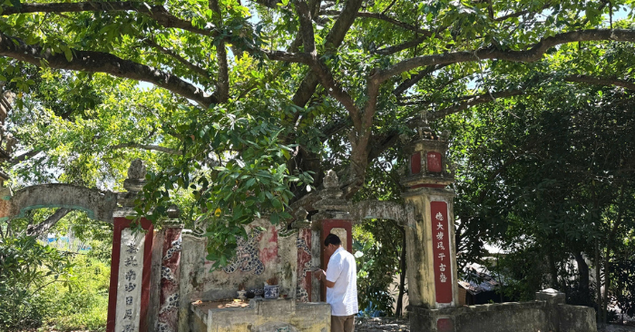  Độc lạ rừng Trung Sơn giữa lòng đô thị Đà Nẵng