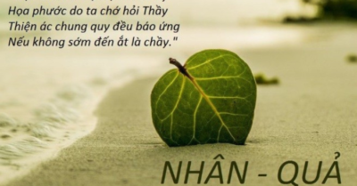 Dấu hiệu cho thấy bạn đang gặt hái nhân quả tốt đẹp
