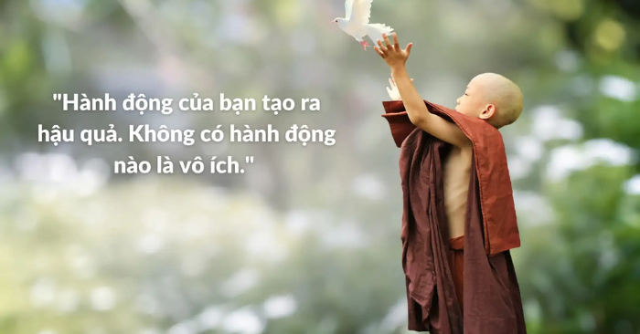 nhân quả