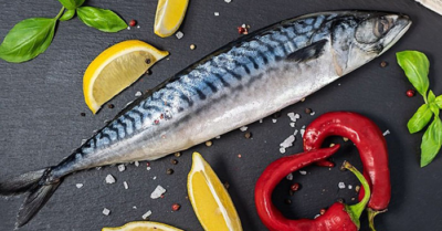 Cá thu – loại cá bình dân được mệnh danh là vua omega-3