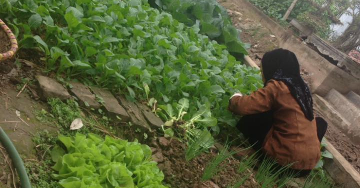Nỗi Cô Đơn Của Tuổi Già: Khi Không Còn Ai Muốn Nghe Mình Nữa