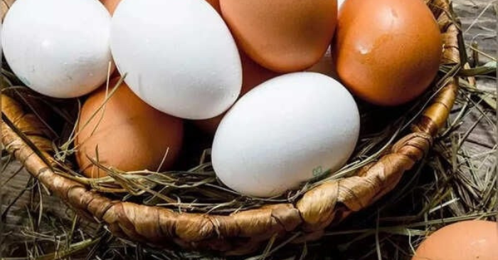 Trứng nâu và trứng trắng: Loại nào tốt hơn cho sức khỏe?