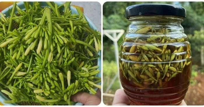 hoa đu đủ đực ngâm mật ong