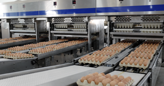 Hành trình khác biệt của nữ tướng nông nghiệp