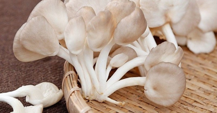 Thực phẩm màu trắng: 5 lựa chọn tốt cho sức khỏe