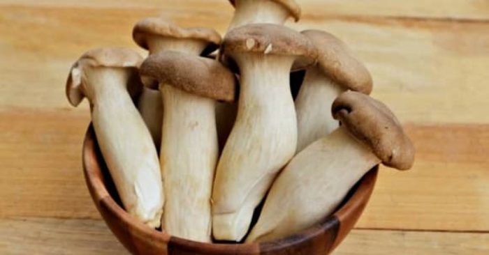 Nấm đùi gà – 'bào ngư chay' tốt cho tim mạch và miễn dịch