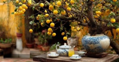 5 dấu hiệu ngôi nhà cạn khí, con cháu lụi vận